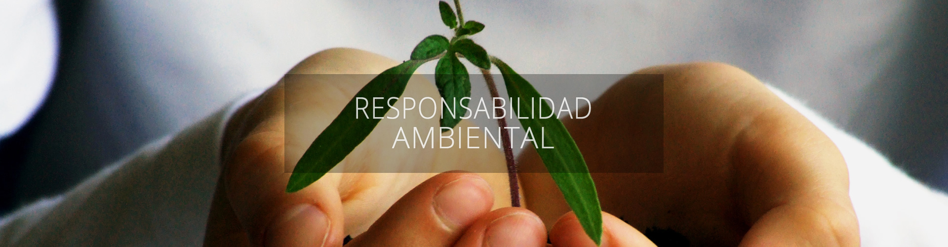 responsabilidad ambiental